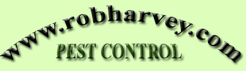 Pest Copntrol